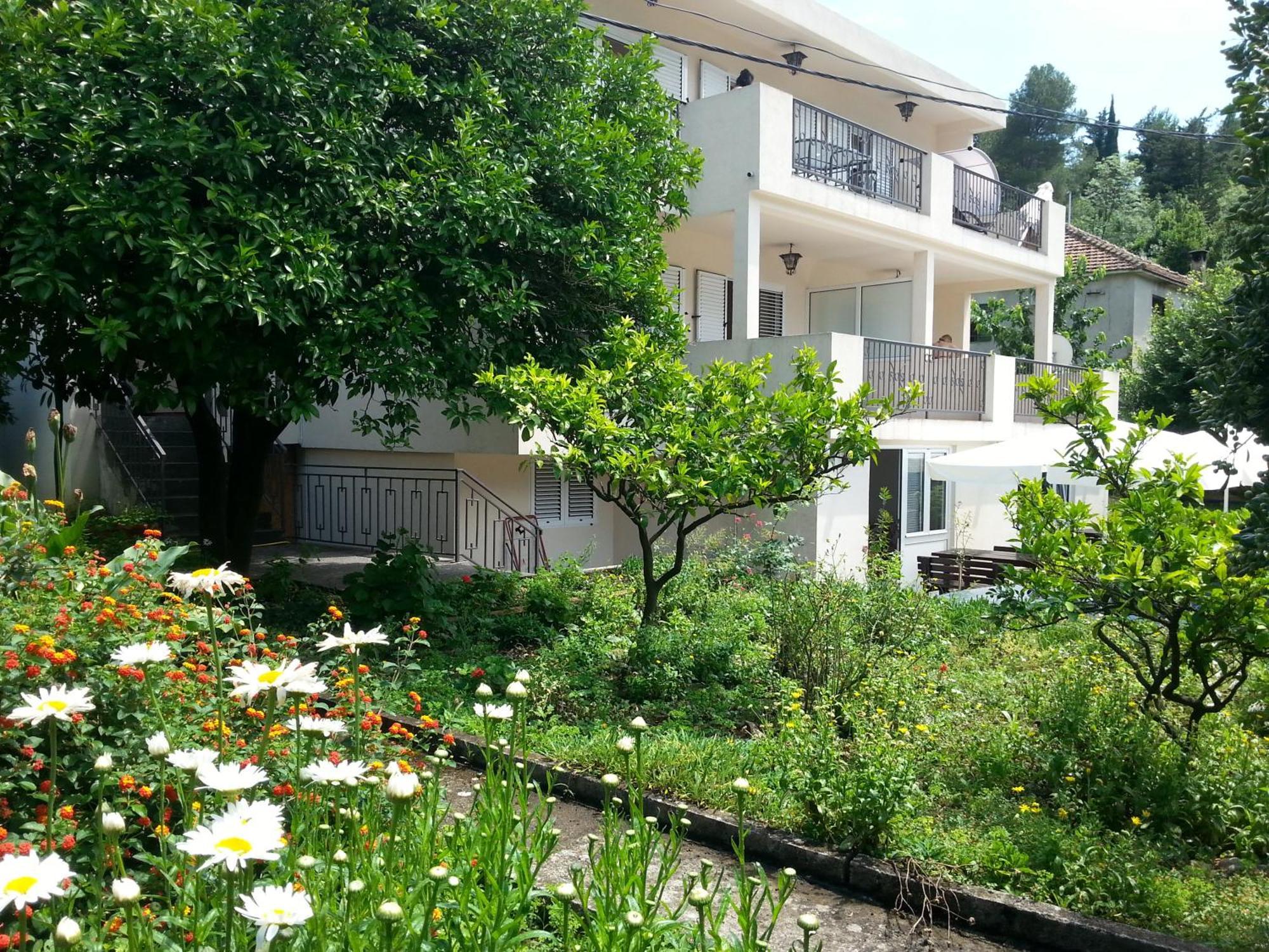Apartments Pejanovic Kotor Exterior photo
